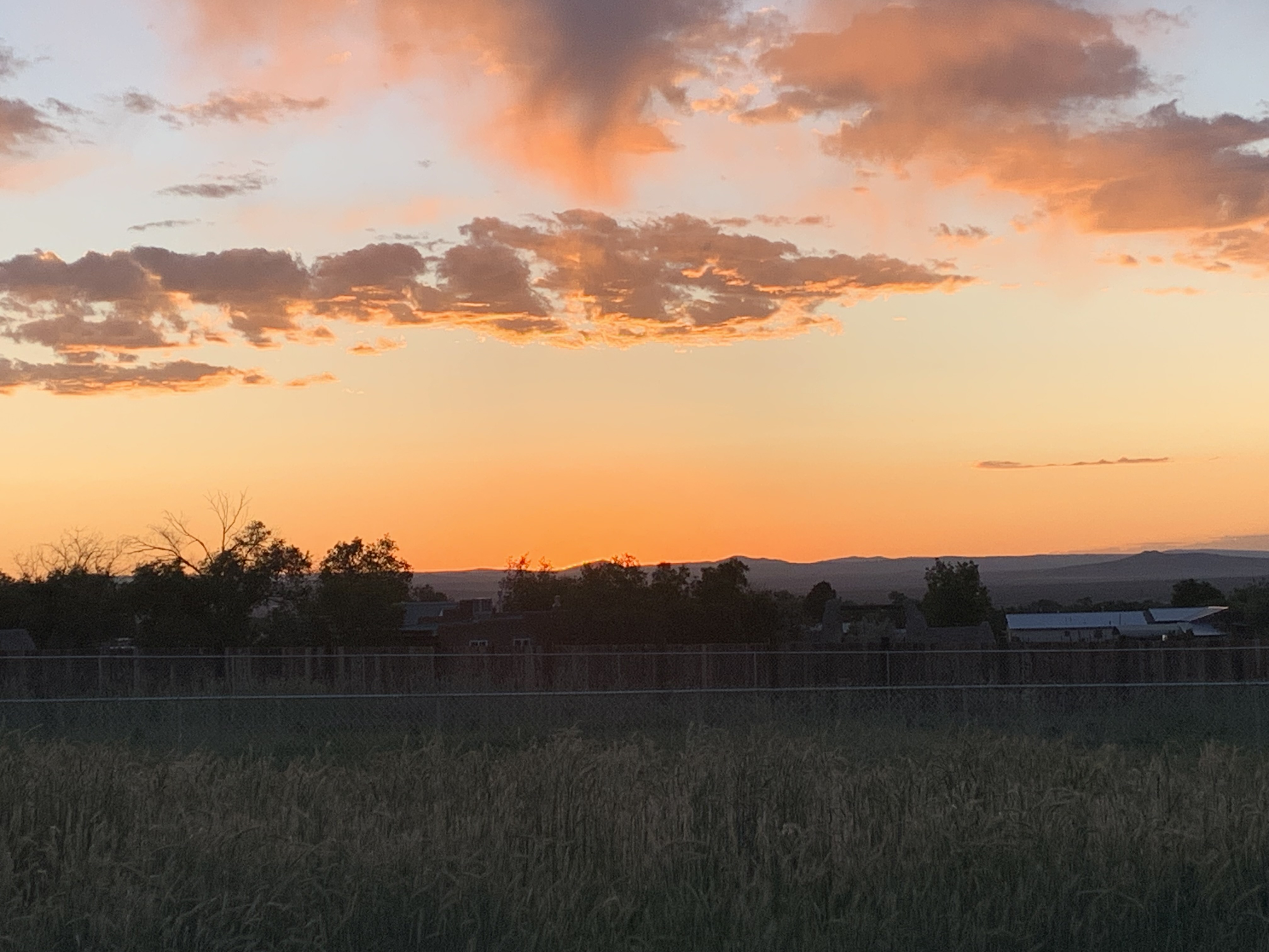 Finca Verde farm at sunset