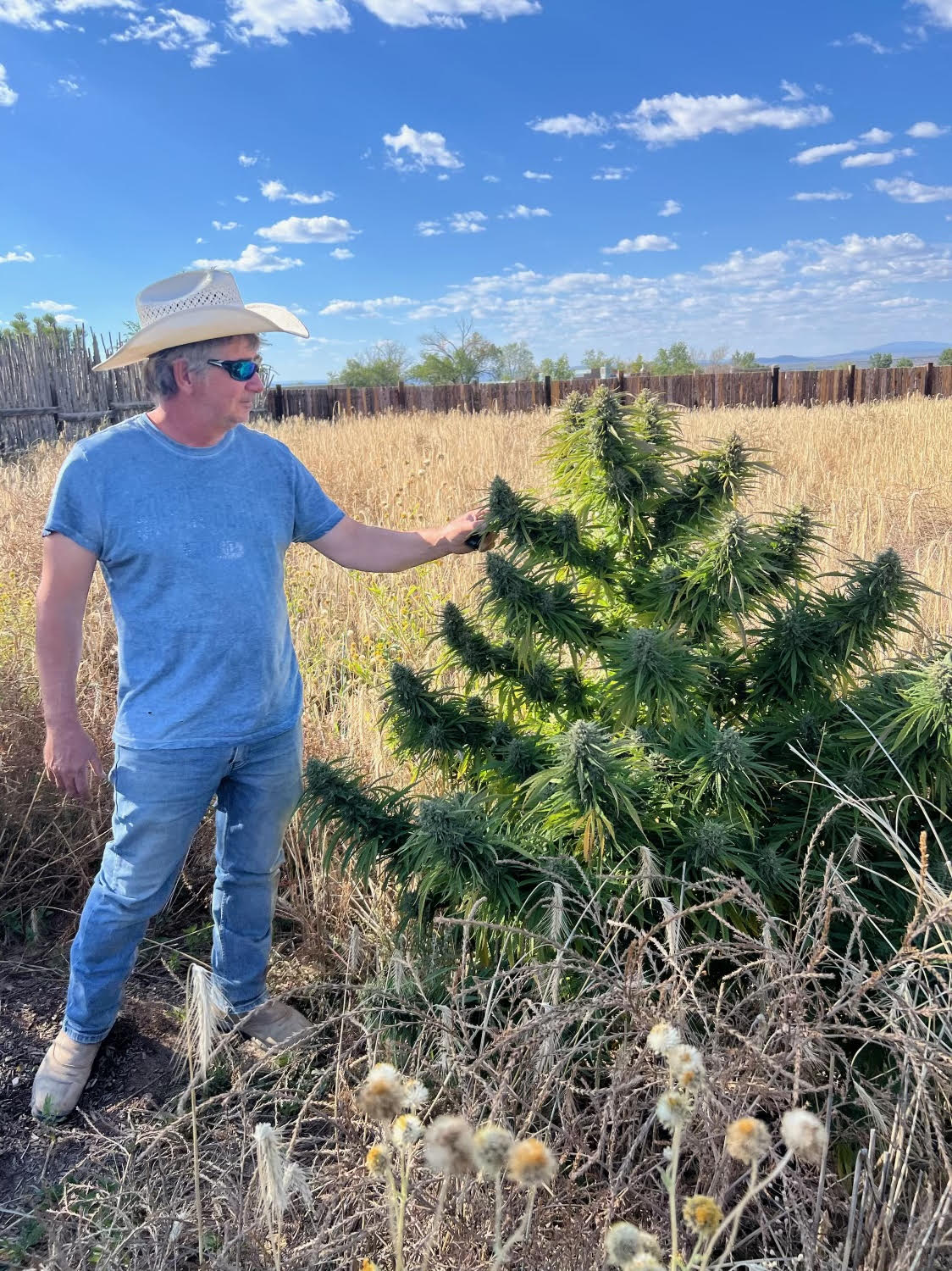 Matt, founder of Finca Verde